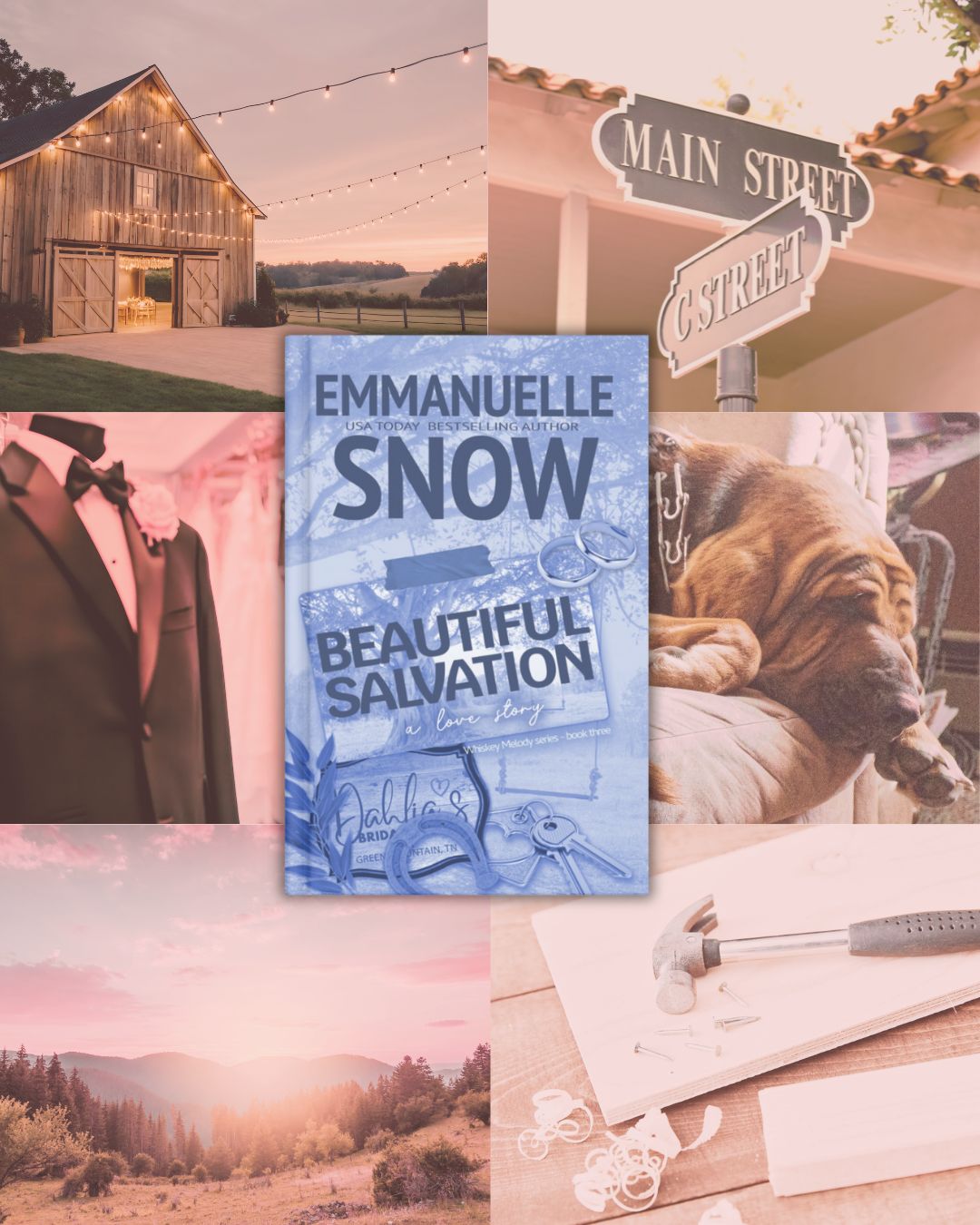 Beautiful Salvation (Whiskey Melody book series) - Author Emmanuelle Snow Bookshop
